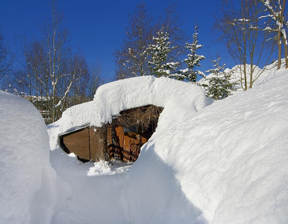 Pension Karolina Hotel Spindleruv Mlyn Exterior photo