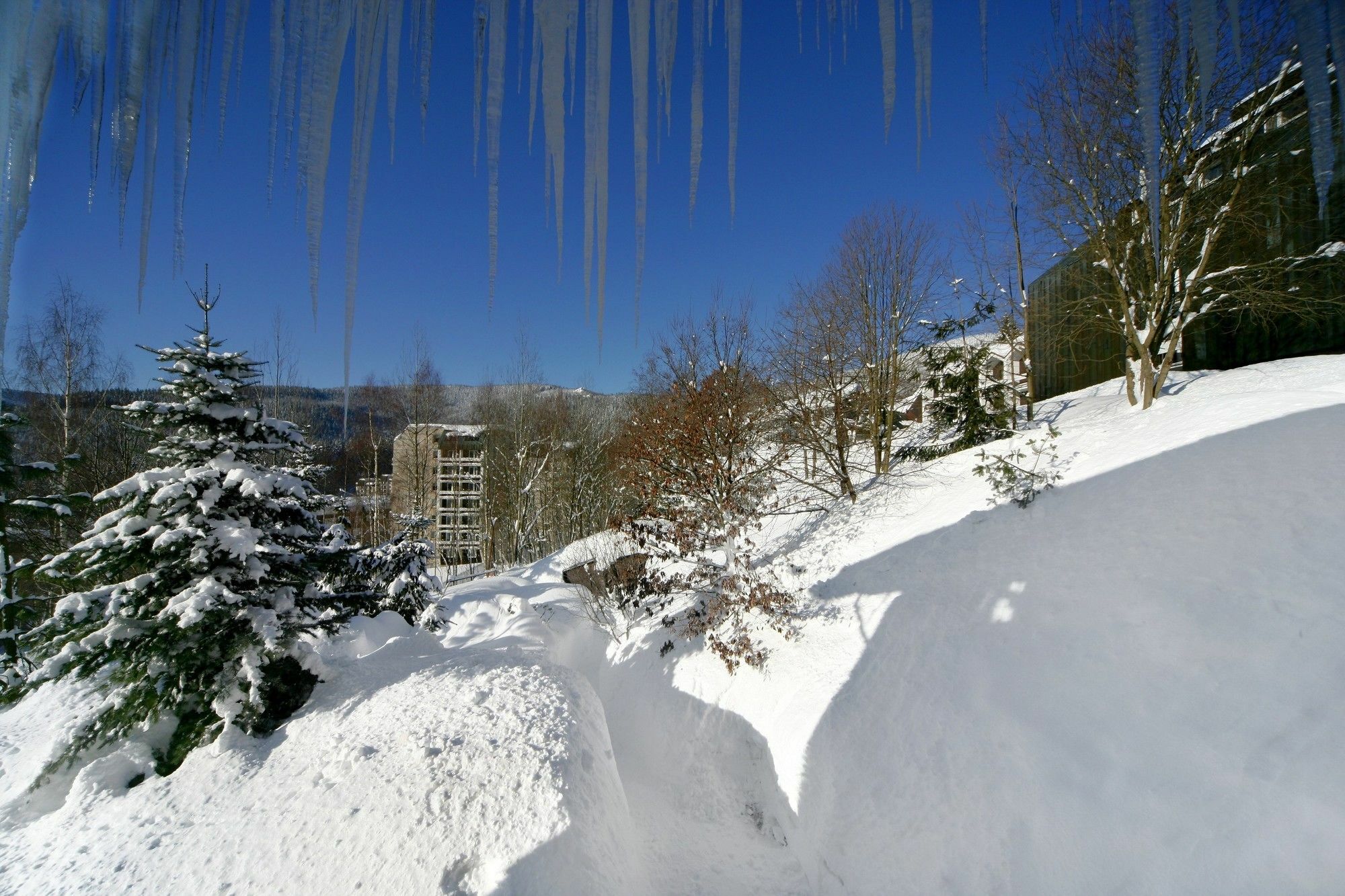 Pension Karolina Hotel Spindleruv Mlyn Exterior photo